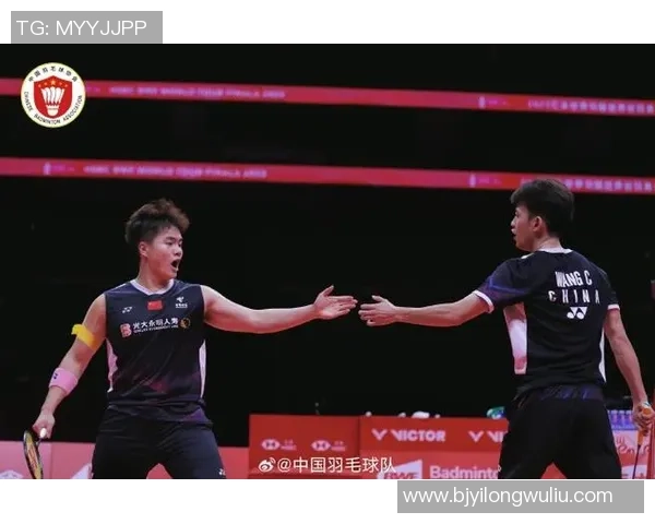 杭州羽毛球队总决赛表现分析与比赛经验总结